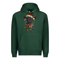Sports Green highland cow calf with christmas lights Premium Hoodie - RanaPortraitStore