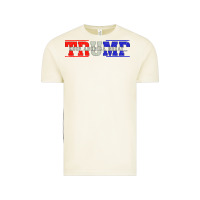 Vintage Arctic Trump 2020 Vintage Tee - Bettercallsaul