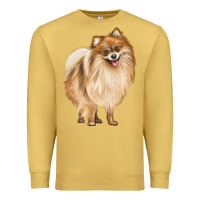 Antique Gold Pomeranian Dog Illustrations Premium Sweatshirt - LillyAllenDesigns
