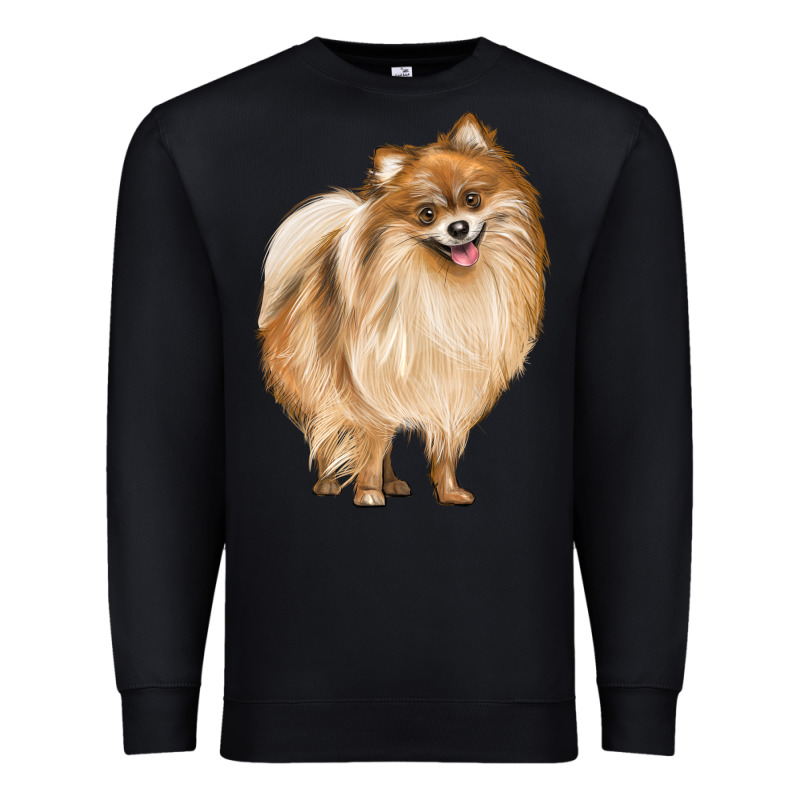Pomeranian Dog Illustrations Premium Sweatshirt by LillyAllenDesigns | Teevron