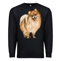 Black Pomeranian Dog Illustrations Premium Sweatshirt - LillyAllenDesigns