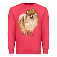 Cardinal Pomeranian Dog Illustrations Premium Sweatshirt - LillyAllenDesigns