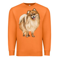 Carrot Pomeranian Dog Illustrations Premium Sweatshirt - LillyAllenDesigns