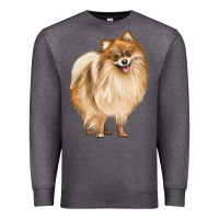 Charcoal Heather Pomeranian Dog Illustrations Premium Sweatshirt - LillyAllenDesigns