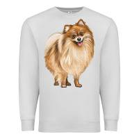 Dove Grey Pomeranian Dog Illustrations Premium Sweatshirt - LillyAllenDesigns