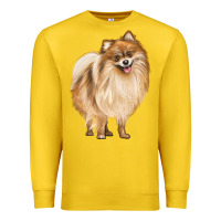 Lemon Pomeranian Dog Illustrations Premium Sweatshirt - LillyAllenDesigns