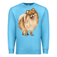 Ocean Blue Pomeranian Dog Illustrations Premium Sweatshirt - LillyAllenDesigns