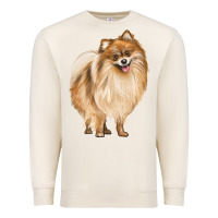 Sandshell Pomeranian Dog Illustrations Premium Sweatshirt - LillyAllenDesigns
