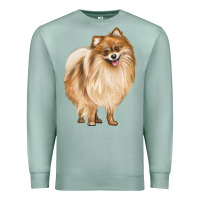 Seafoam Pomeranian Dog Illustrations Premium Sweatshirt - LillyAllenDesigns
