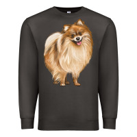 Smoke Pomeranian Dog Illustrations Premium Sweatshirt - LillyAllenDesigns