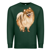 Sports Green Pomeranian Dog Illustrations Premium Sweatshirt - LillyAllenDesigns