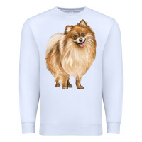 White Pomeranian Dog Illustrations Premium Sweatshirt - LillyAllenDesigns