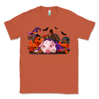 Copper Halloween Baby Pig Classic Tee - RanaPortraitStore