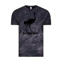 Cloud Black ALLEGEDLY FUNNY OSTRICH Vintage Tee - Bettercallsaul