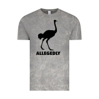 Cloud Rock ALLEGEDLY FUNNY OSTRICH Vintage Tee - Bettercallsaul