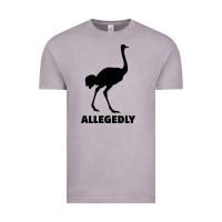 Vintage Zinc ALLEGEDLY FUNNY OSTRICH Vintage Tee - Bettercallsaul