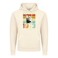 Vintage Artic Vintage 1973 Orginial Parts Vintage Hoodie - Bettercallsaul