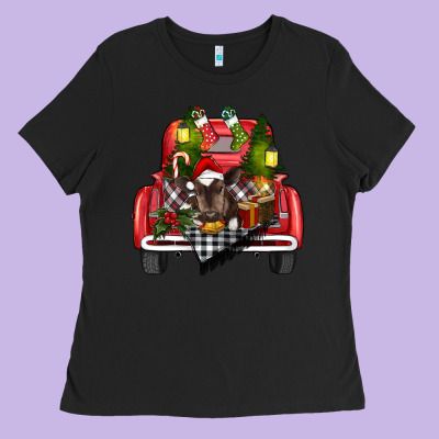 Christmas Truck Ladies Tee Designed By Ranaportraitstore