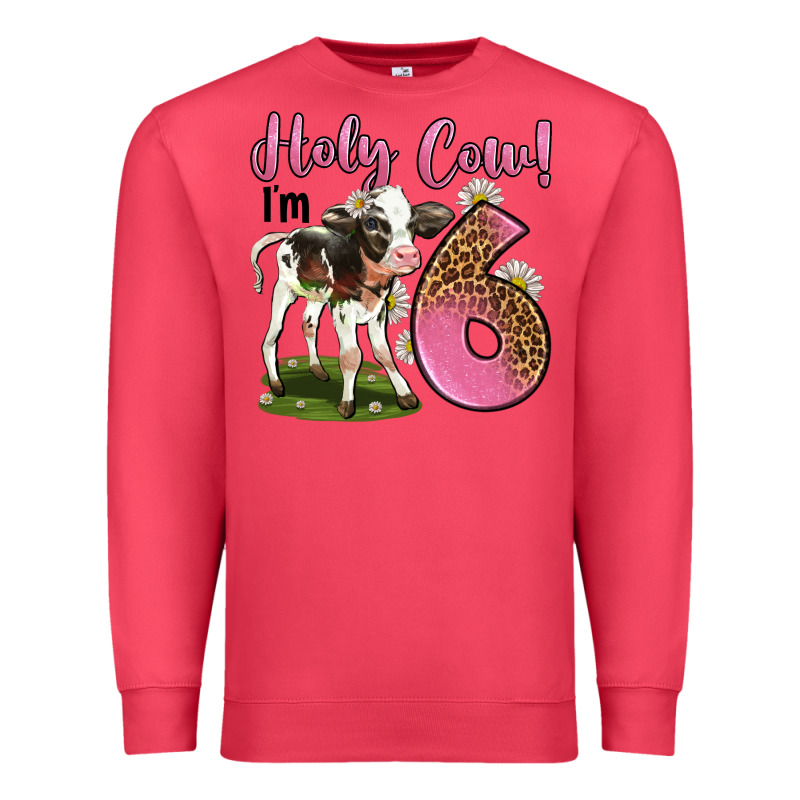 Holy Cow I'm 6 Years Old Premium Sweatshirt by LillyAllenDesigns | Teevron