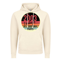 Vintage Artic 16th Birthday gift Vintage 2003 Vintage Hoodie - Bettercallsaul