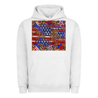 Pigment Lunar Rock American flag and star leopard Urban Hoodie - Artiststas