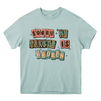 Arona sorry my filter is broken Heavy Core Tee - MaliasSmallBusiness