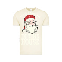 Vintage Arctic There's Some Ho Ho Ho's in this House Santa Claus Vintage Tee - Bettercallsaul