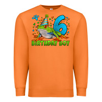 Carrot birthday boy frog age 6 Premium Sweatshirt - LillyAllenDesigns