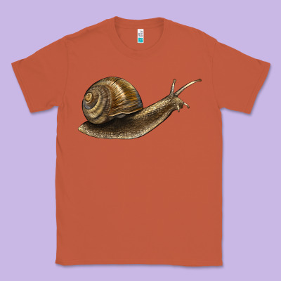 Snail Classic Tee Designed By Lillyallendesigns