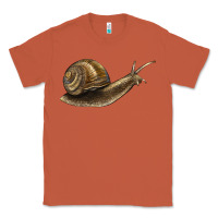 Copper snail Classic Tee - LillyAllenDesigns