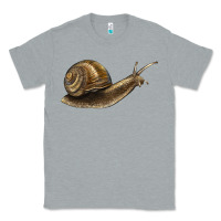 Heather Grey snail Classic Tee - LillyAllenDesigns