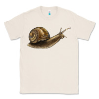Natural snail Classic Tee - LillyAllenDesigns