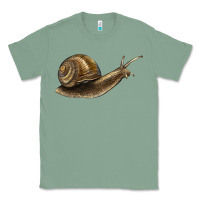 Sage snail Classic Tee - LillyAllenDesigns