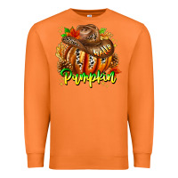 Carrot Hello Pumpkin Premium Sweatshirt - CowhideDigitalArt