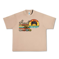 Burro Level 29 Unlocked Urban Heavy Tee - Bettercallsaul