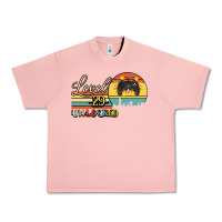 Salmon Level 29 Unlocked Urban Heavy Tee - Bettercallsaul