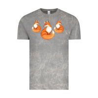 Cloud Rock Three Little Foxes IN Fox Family I Gift Vintage Tee - Bettercallsaul