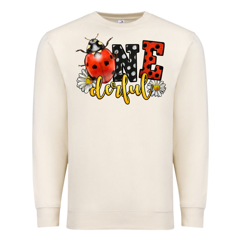 Onederful Wonderful Ladybug Premium Sweatshirt by LillyAllenDesigns | Teevron