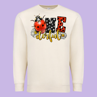Onederful Wonderful Ladybug Premium Sweatshirt Designed By Lillyallendesigns