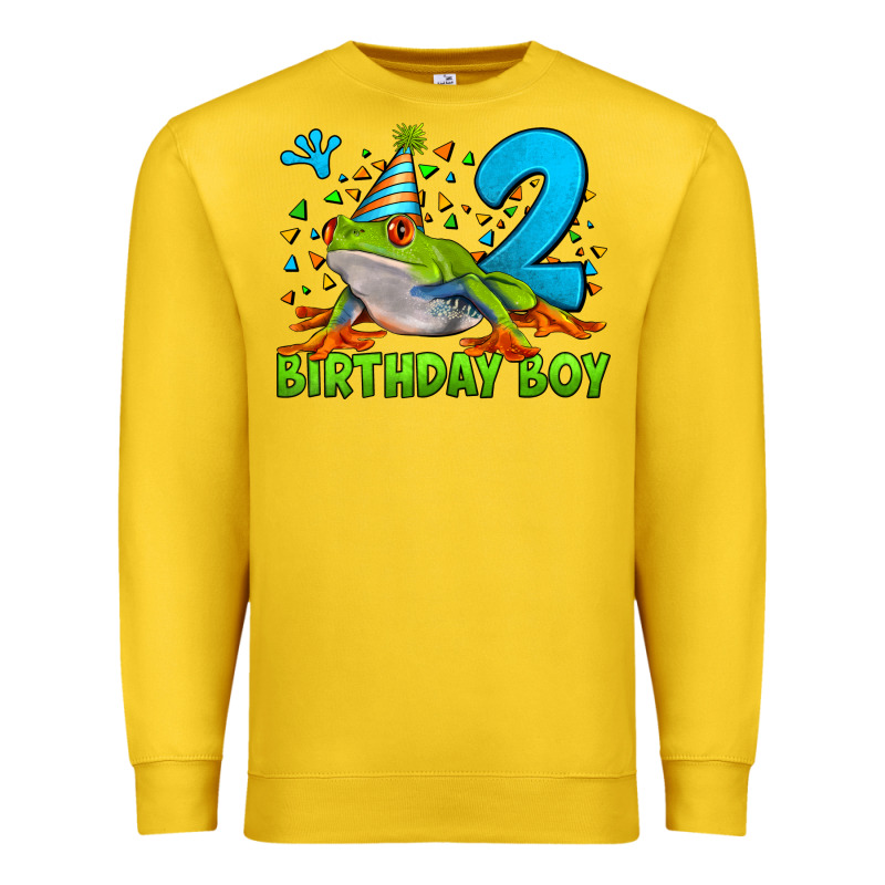 Birthday Boy Frog Age 2 Premium Sweatshirt by LillyAllenDesigns | Teevron