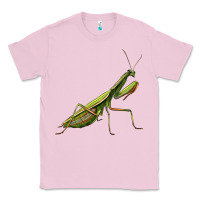Bubblegum Pink mantis Classic Tee - LillyAllenDesigns