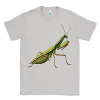 Moon Dust mantis Classic Tee - LillyAllenDesigns