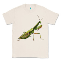 Natural mantis Classic Tee - LillyAllenDesigns