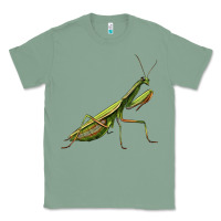 Sage mantis Classic Tee - LillyAllenDesigns