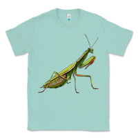 Seafoam mantis Classic Tee - LillyAllenDesigns