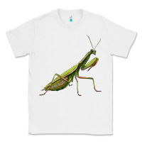 White mantis Classic Tee - LillyAllenDesigns