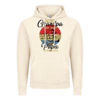 Vintage Artic Being Grandpa İs An Honor Being Papa İs Priceless Vintage Hoodie - Bettercallsaul