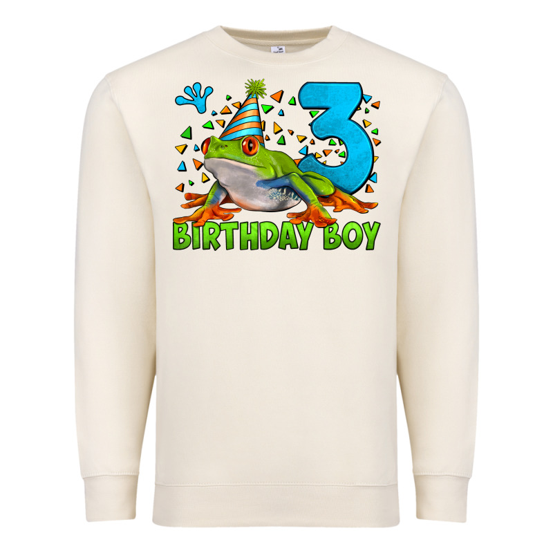 Birthday Boy Frog Age 3 Premium Sweatshirt by LillyAllenDesigns | Teevron