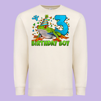 Birthday Boy Frog Age 3 Premium Sweatshirt Designed By Lillyallendesigns