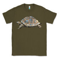 Army Green Tortoise Illustrations Classic Tee - LillyAllenDesigns
